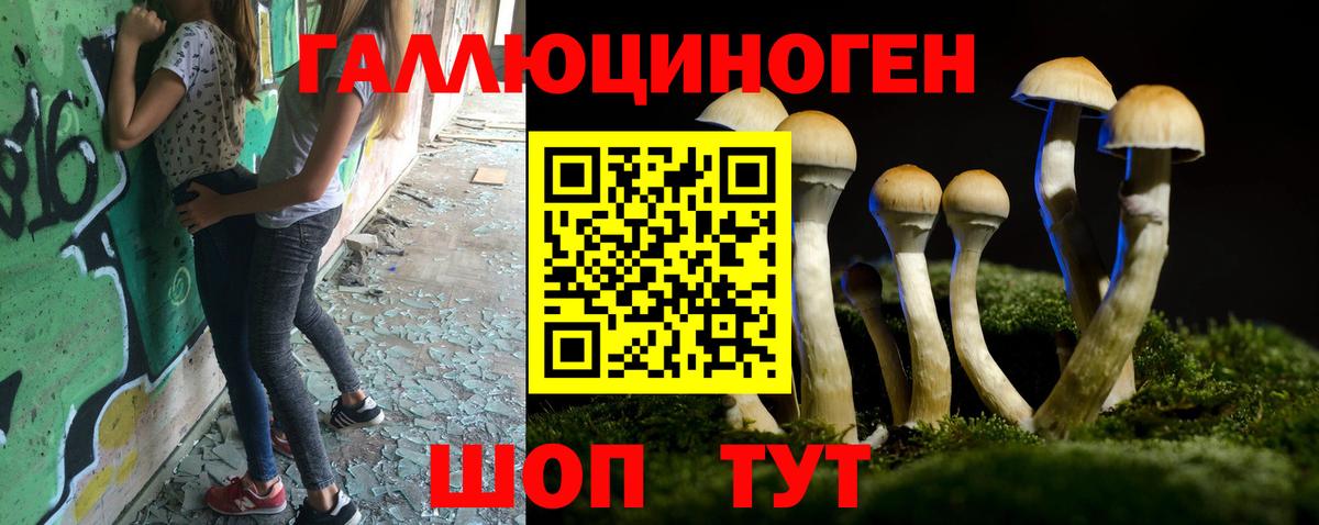 купить   Псилоцибиновые грибы MAGIC MUSHROOMS  Вход с VPN  Смоленск 